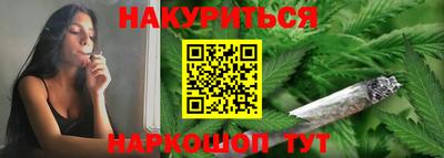 сатива Моздок