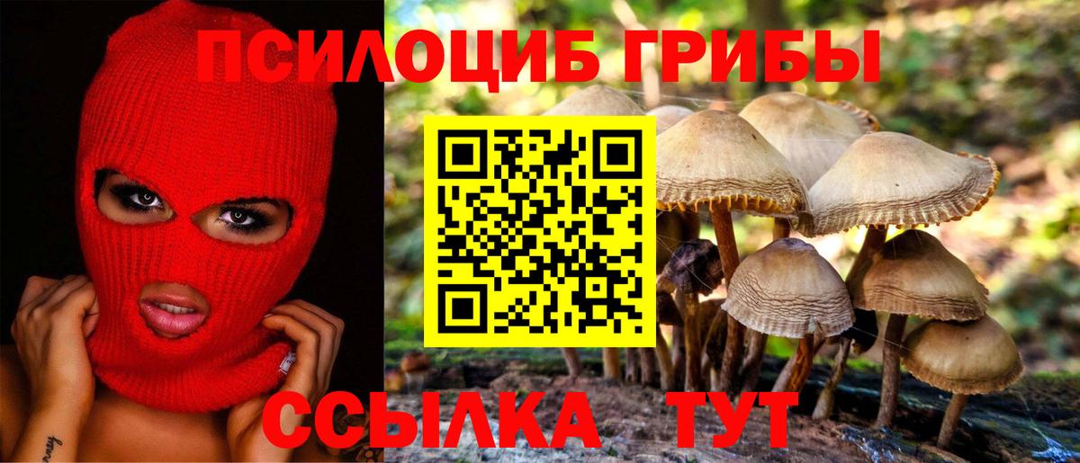 Псилоцибиновые грибы GOLDEN TEACHER Черкесск